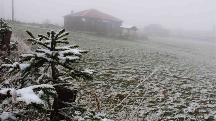 Ordu'ya mevsimin ilk kar yad