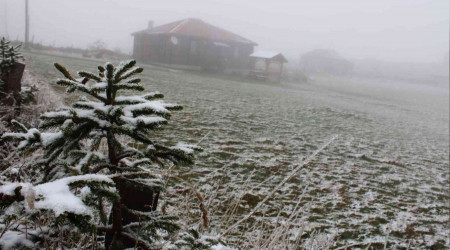 Ordu'ya mevsimin ilk kar yad