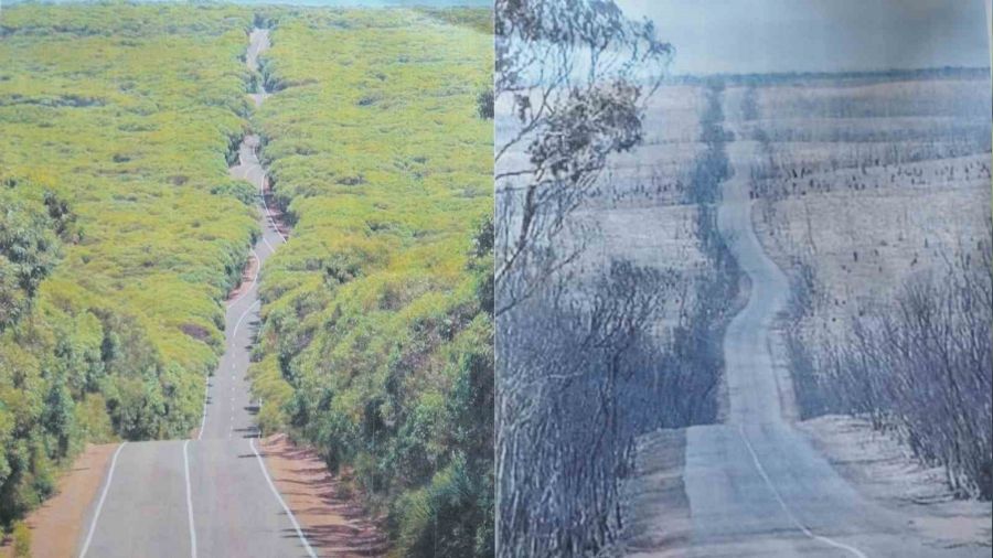 Orman yang�nlar� yeralt� sular�n� bitiriyor