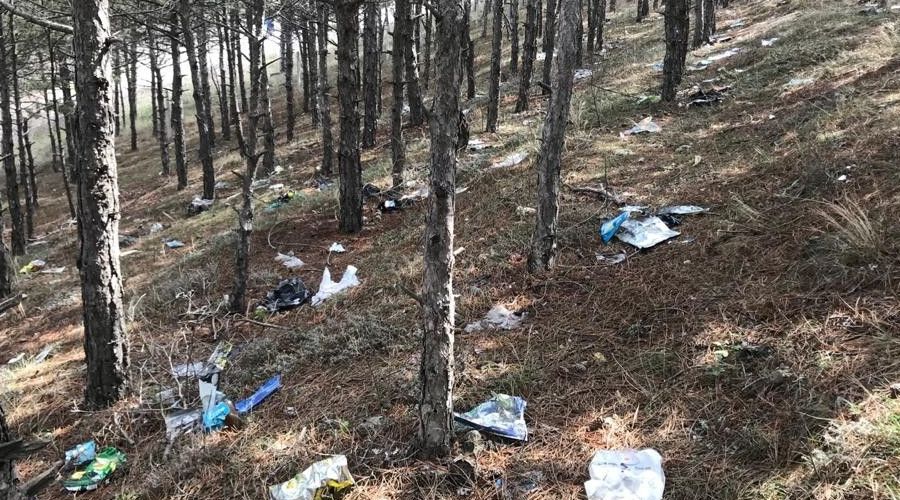 Ormanlık alan adeta çöplüğe döndü