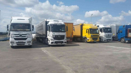 Otomobil yüklü tırlar bir aydır gümrükte