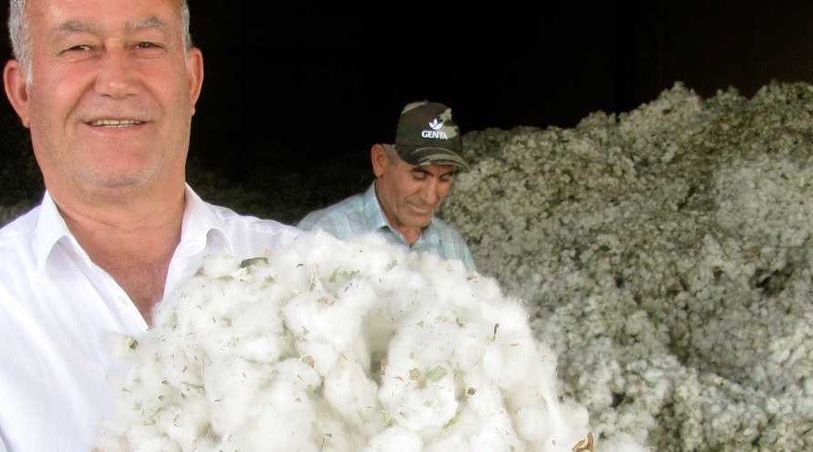 Pamuk fiyat� �reticilerin y�z�n� g�ld�rd�