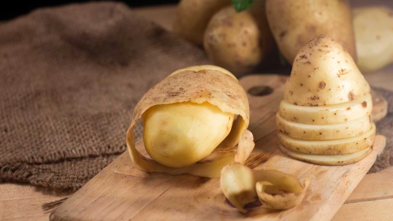 Patates atığı, süt üretimini artırıyor!