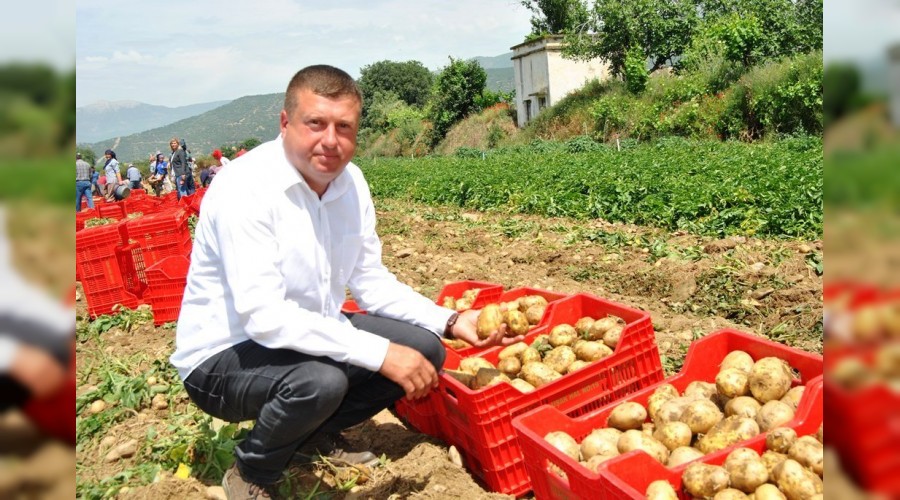 Patates tarlada 1.4 lira