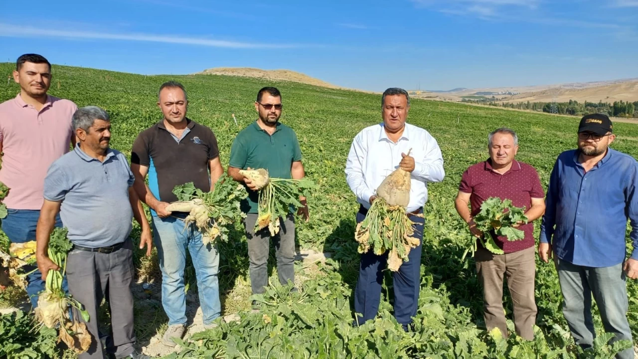 Patates ve pancarın tesliminde sorun var