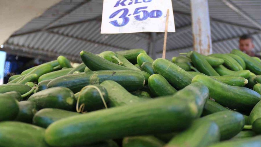 Pazar tezgahlarnda salatalk 3,5 TL'den satlyor