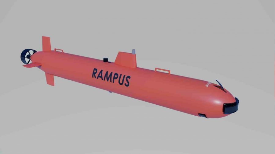 RAMPUS'un ne olduğunu biliyor musunuz?