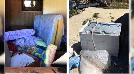 Rize'de aç kalan ayı eve girdi