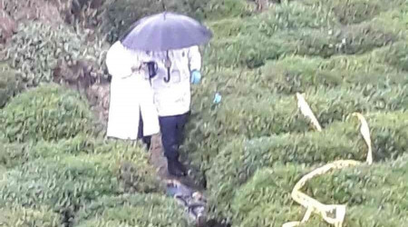 Rize'de bir kişi eşini ve amcasının oğlunu öldürdü