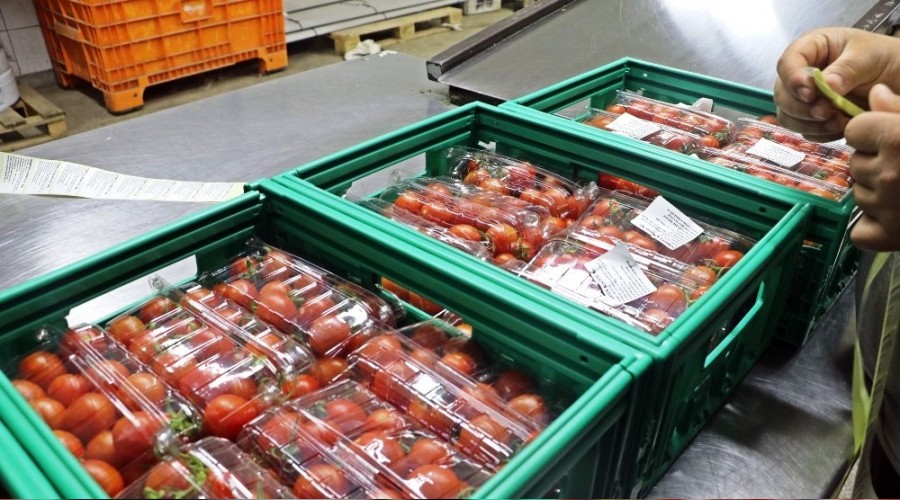 Rusya domates ve biber ihracatn durdurdu