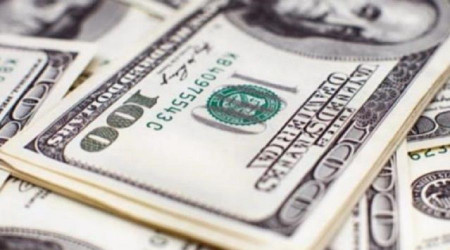 Rusya Merkez Bankası döviz satışlarını askıya aldı