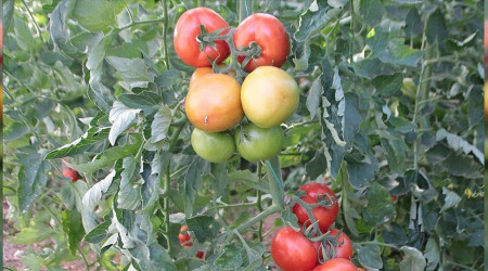   Rusya ve Ukrayna'da milyonlarca dolar battı