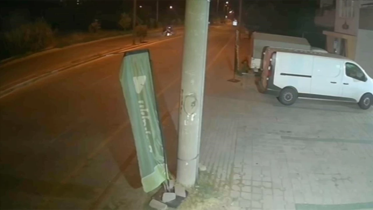  Sahipsiz k�pekler bir kurban daha ald�