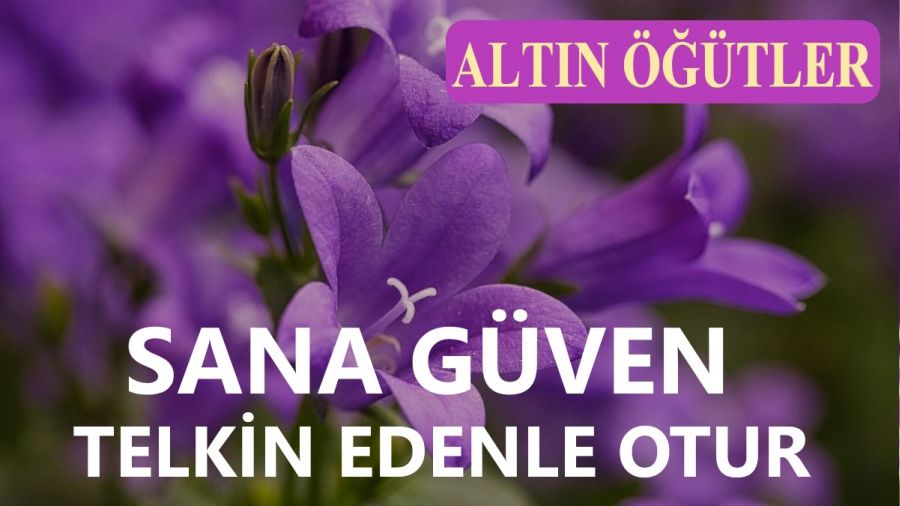  �Sana g�ven telkin edenle otur�