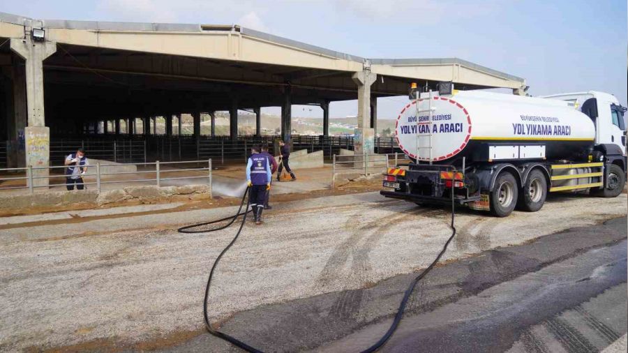 �ap hastal���na kar�� canl� hayvan borsas� dezenfekte edildi