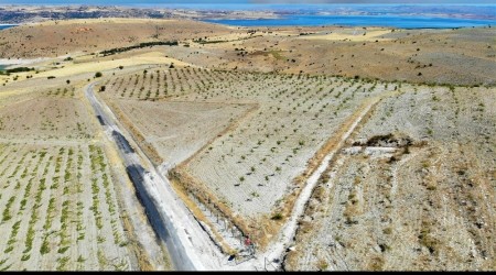 Şehit oğlunun anısına, 2 bin 500 fidanla orman oluşturdu
