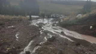 Sel Ordu ve Muş'ta can aldı