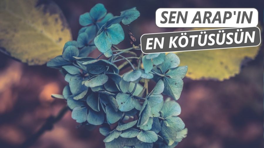 �Sen Arap��n en k�t�s�s�n�