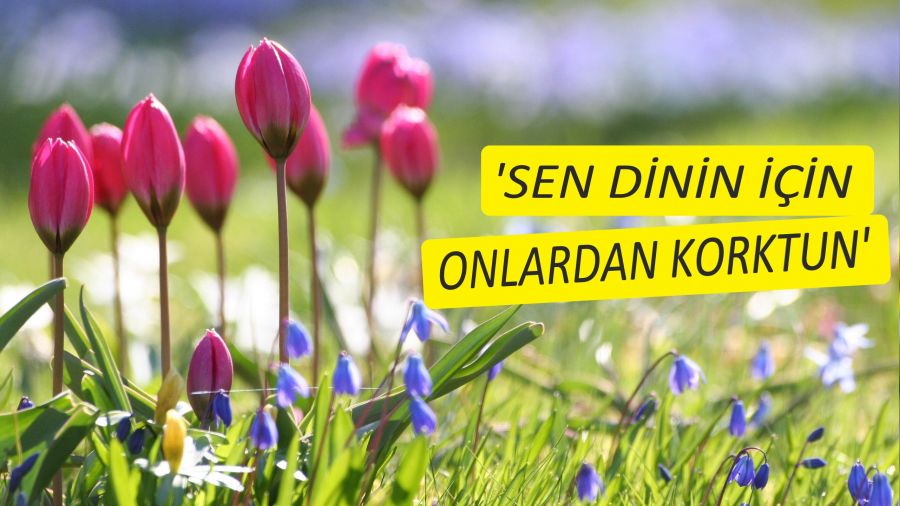 ‘Sen dinin için onlardan korktun’