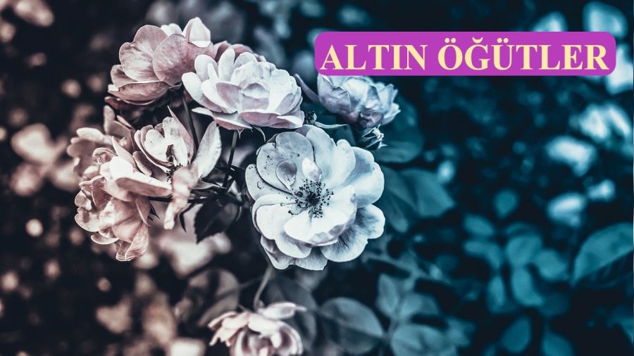 �Sevdi�imi d�nyadan temiz k�lar�m�