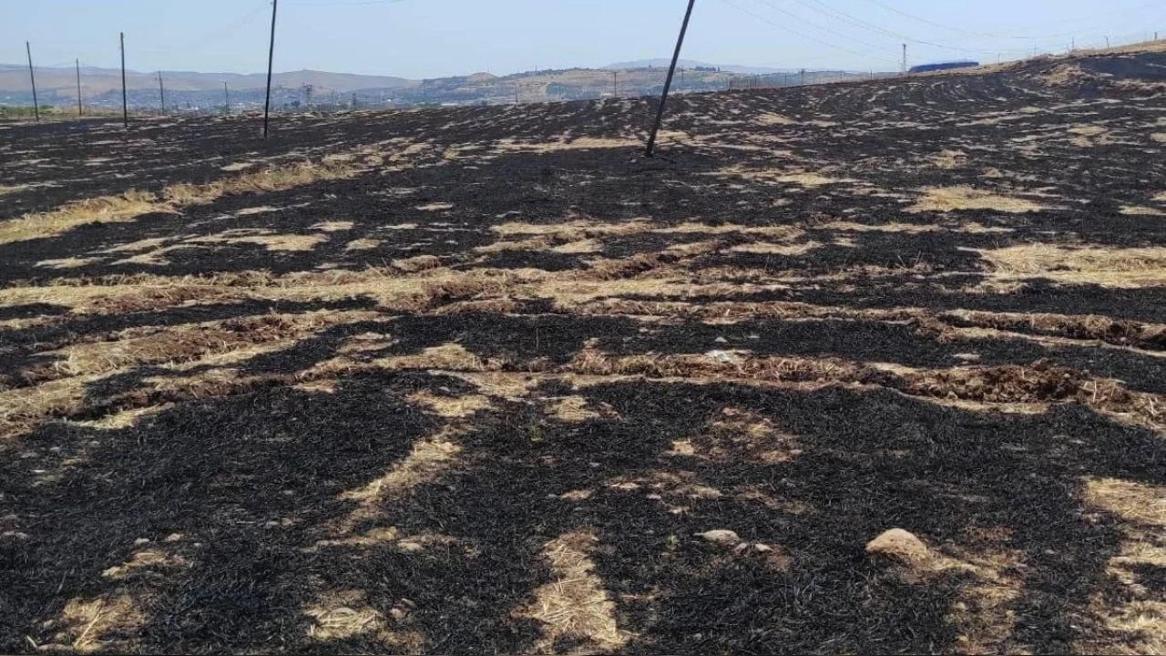 Siirt'te anz yakan ahsa 57 bin lira ceza