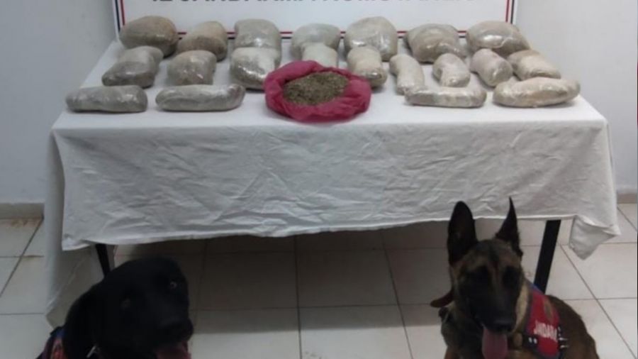 Sınırdan geçirilen 2 milyon lira değerindeki 11 kilogram bonzai ele geçirildi