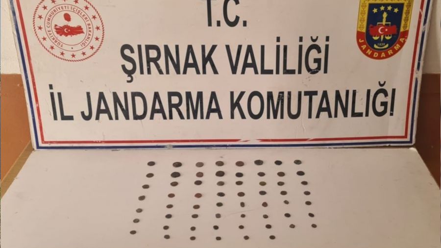 Şırnak'ta 65 parça tarihi obje ele geçirildi