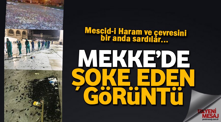Şok görüntü! Mekke'yi çekirgeler bastı