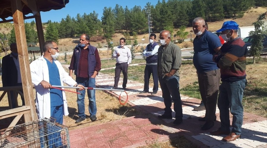 Sokak hayvanlarına müdahale eğitimi