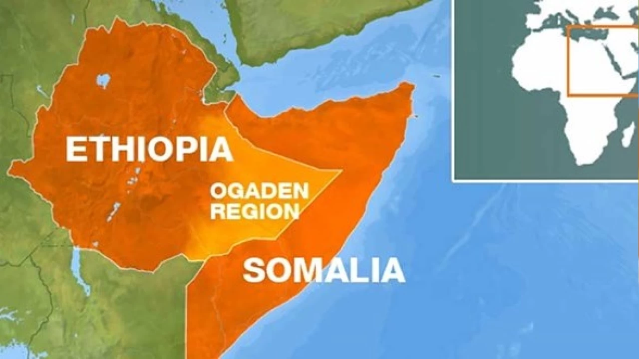 Somali'den Etiyopya'ya uyarı