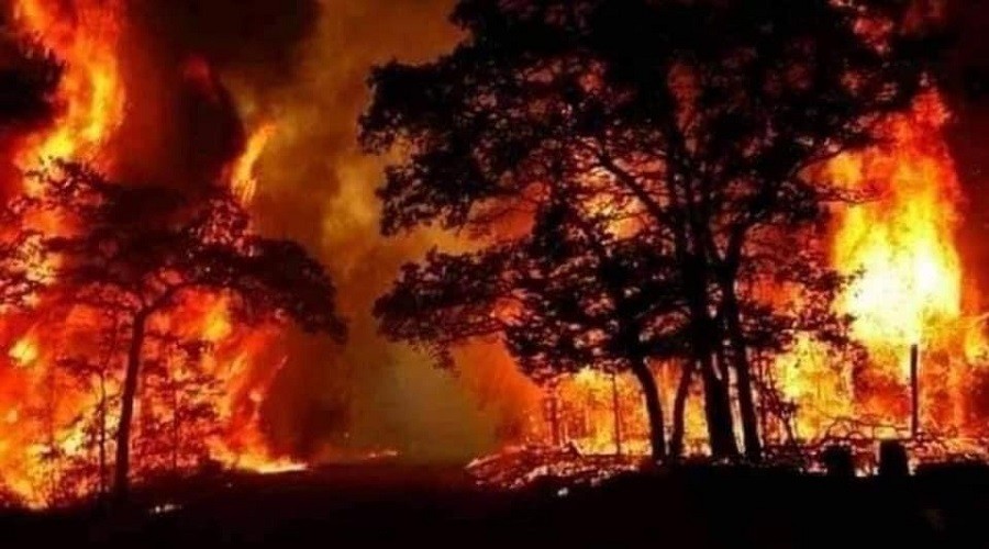 Suriye'deki orman yangını can aldı