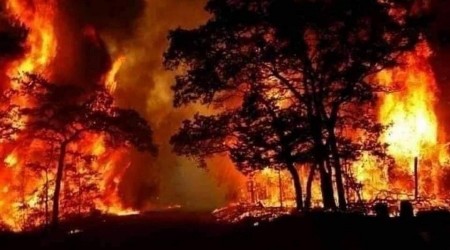 Suriye'deki orman yangını can aldı