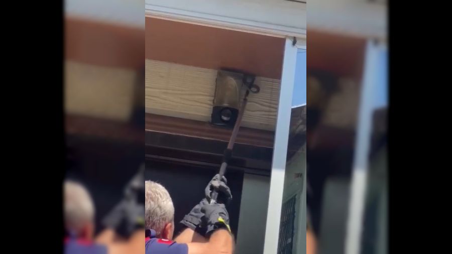 Tavandaki y�lan pani�e neden oldu