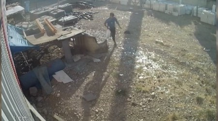 Tavukları torbaya koyup çaldı