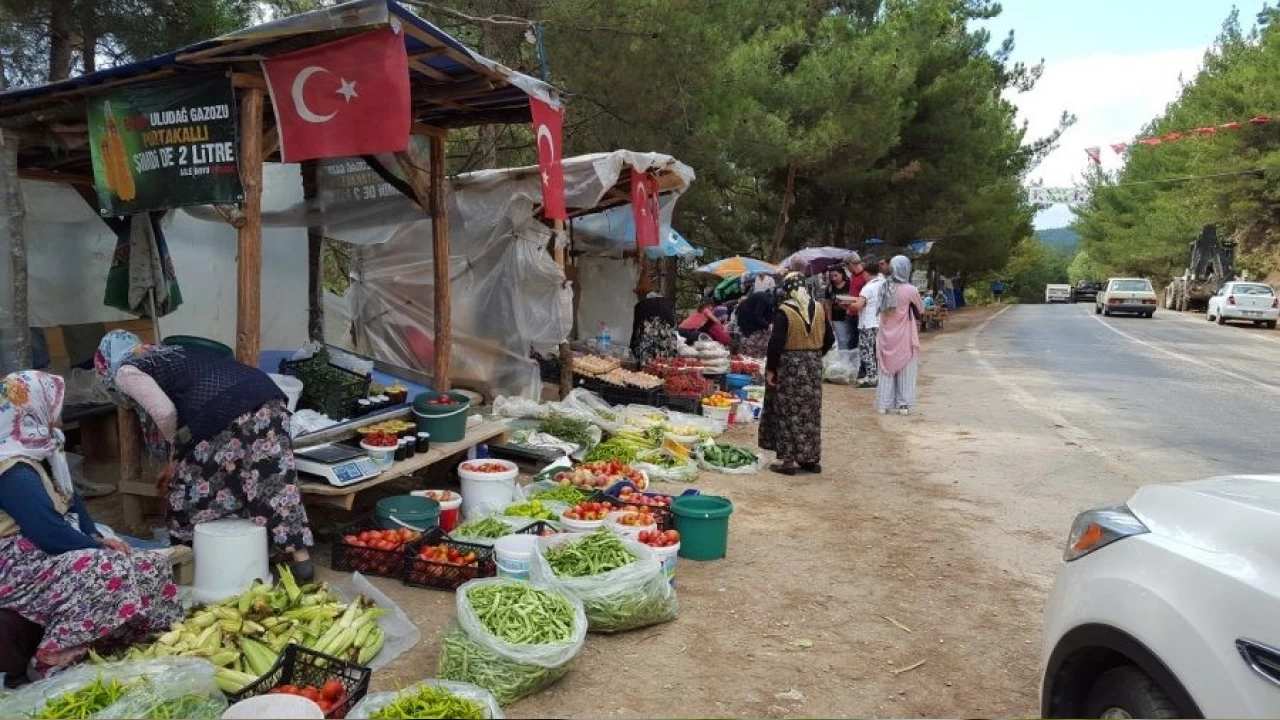 Taze ürünlerin yüzyıllar boyunca seyahati