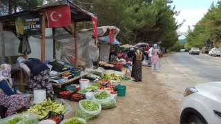 Taze ürünlerin yüzyıllar boyunca seyahati