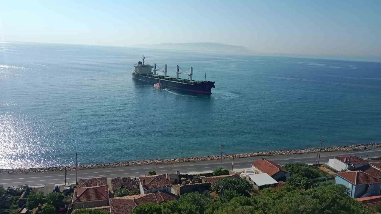 Tekirdağ'da yük gemisi karaya oturdu