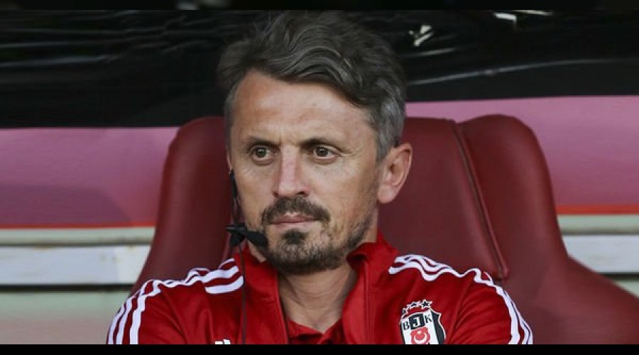 "Tepkilere daha fazla dayanamadı"