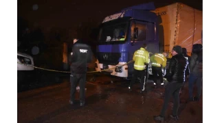 Tırı tamir etmek isterken kupanın altında kaldı