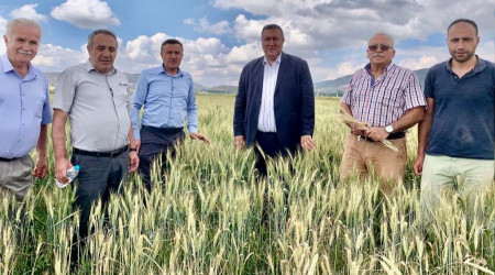 TMO, buğdayı yerinde almalı