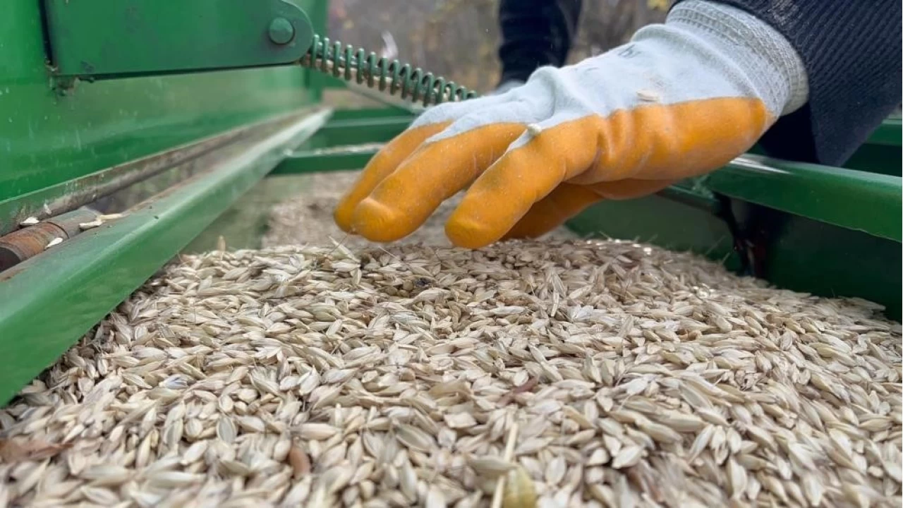 TMO'nun raporuna "gbre fiyatlarnn ykseklii" de girdi