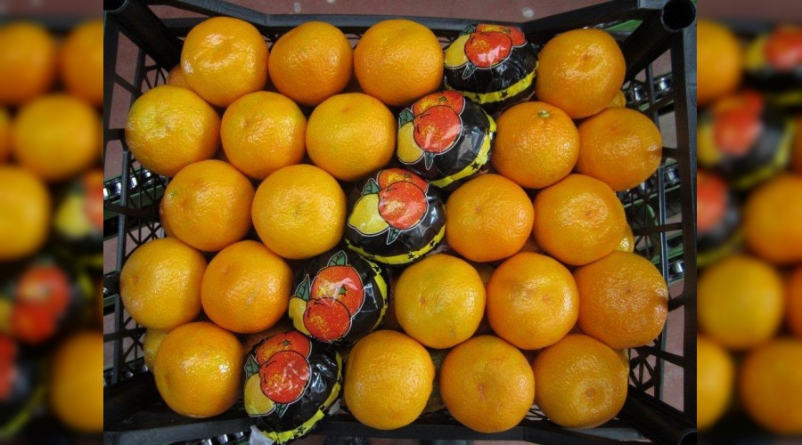 Tonlarca mandalina ve tavuk eti Rusya gümrüklerinden geri döndü