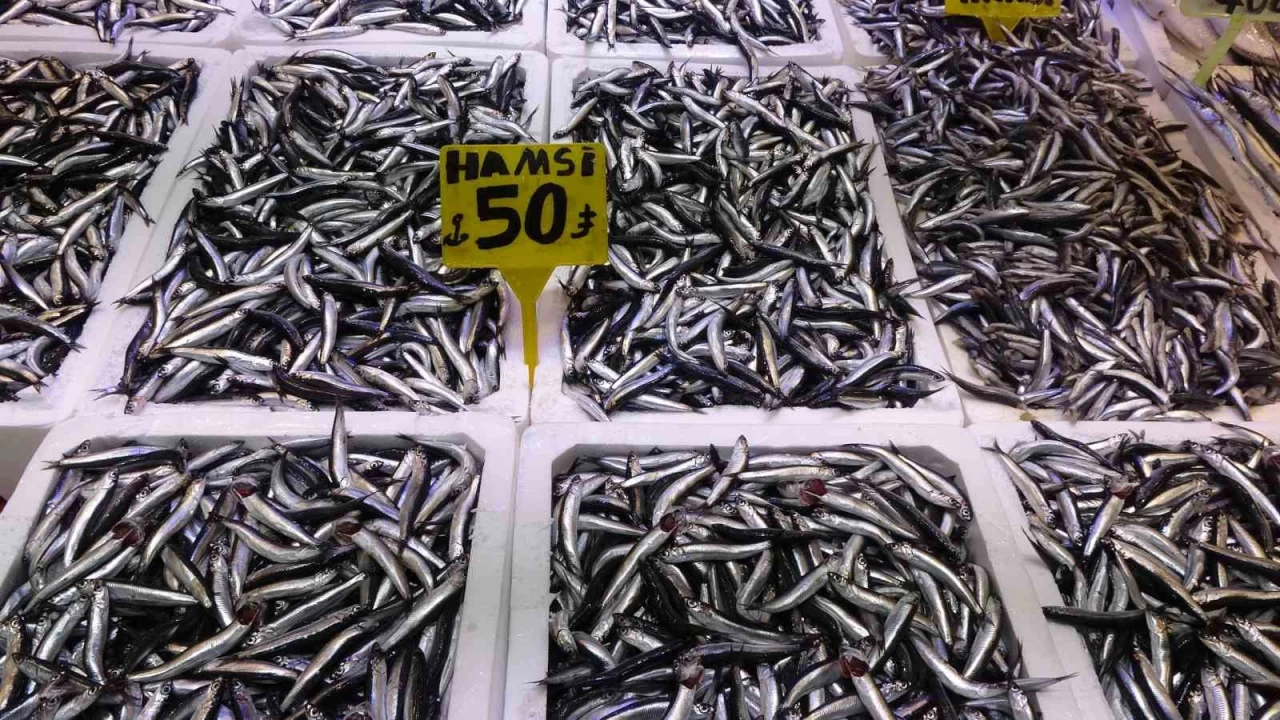 Trabzonlular hamsiye doydu