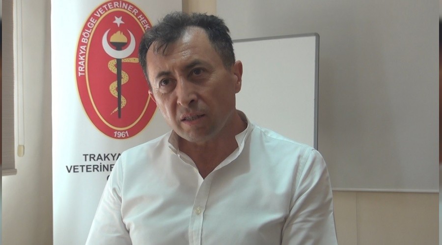 Trakya'da hayvancılık azalıyor