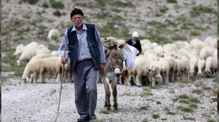 Türkiye'de hayvancılık ithalata bağımlı!