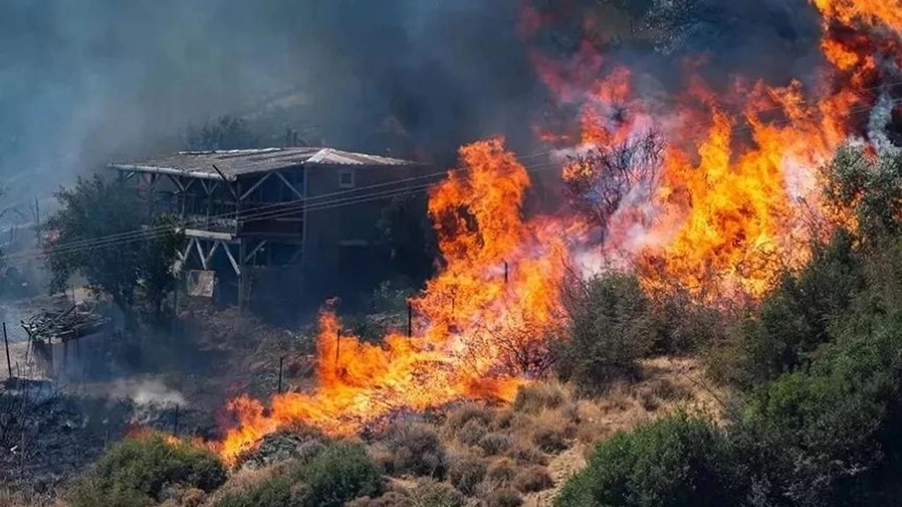 T�rkiye'de son bir haftada 131 zirai alan ve orman yang�n� meydana geldi