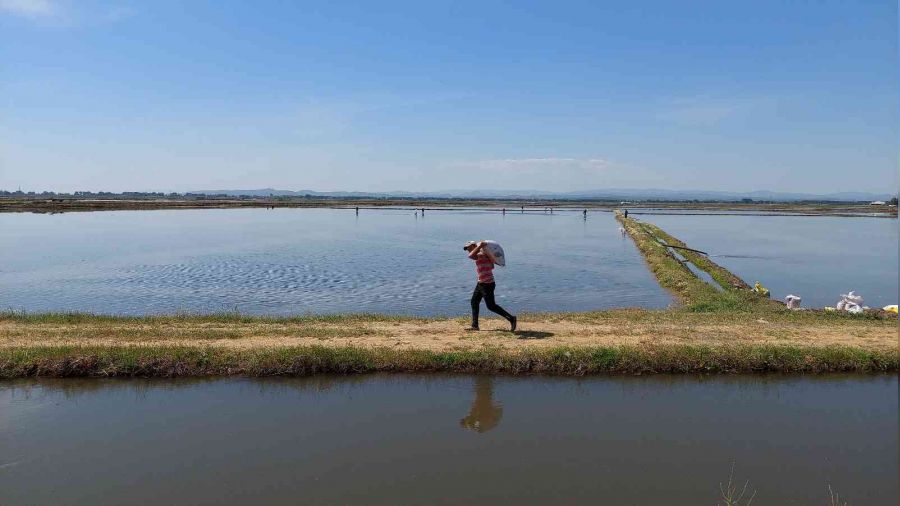 T�rkiye'nin �eltik ambar�nda ekim zaman�