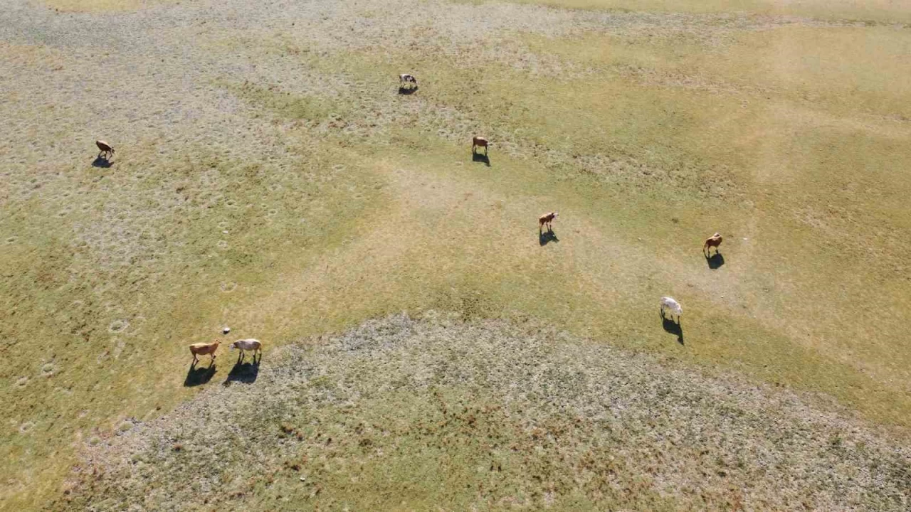 �� zamanl� dron �ekimi kurakl��� belgeledi