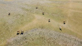  zamanl dron ekimi kurakl belgeledi