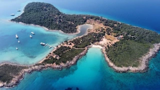 Ula'da tarım: Coğrafi işaretli sarımsaktan badem diyarına